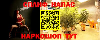 гидра Конаково