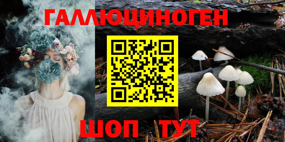 Галлюциногенные грибы Psilocybe Каспийск