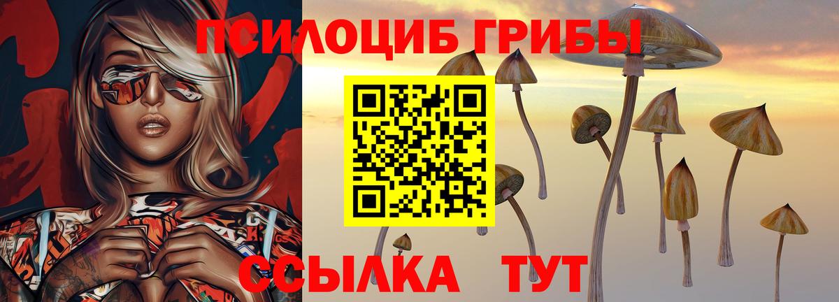 Каспийск  Псилоцибиновые грибы GOLDEN TEACHER  Вход с VPN 